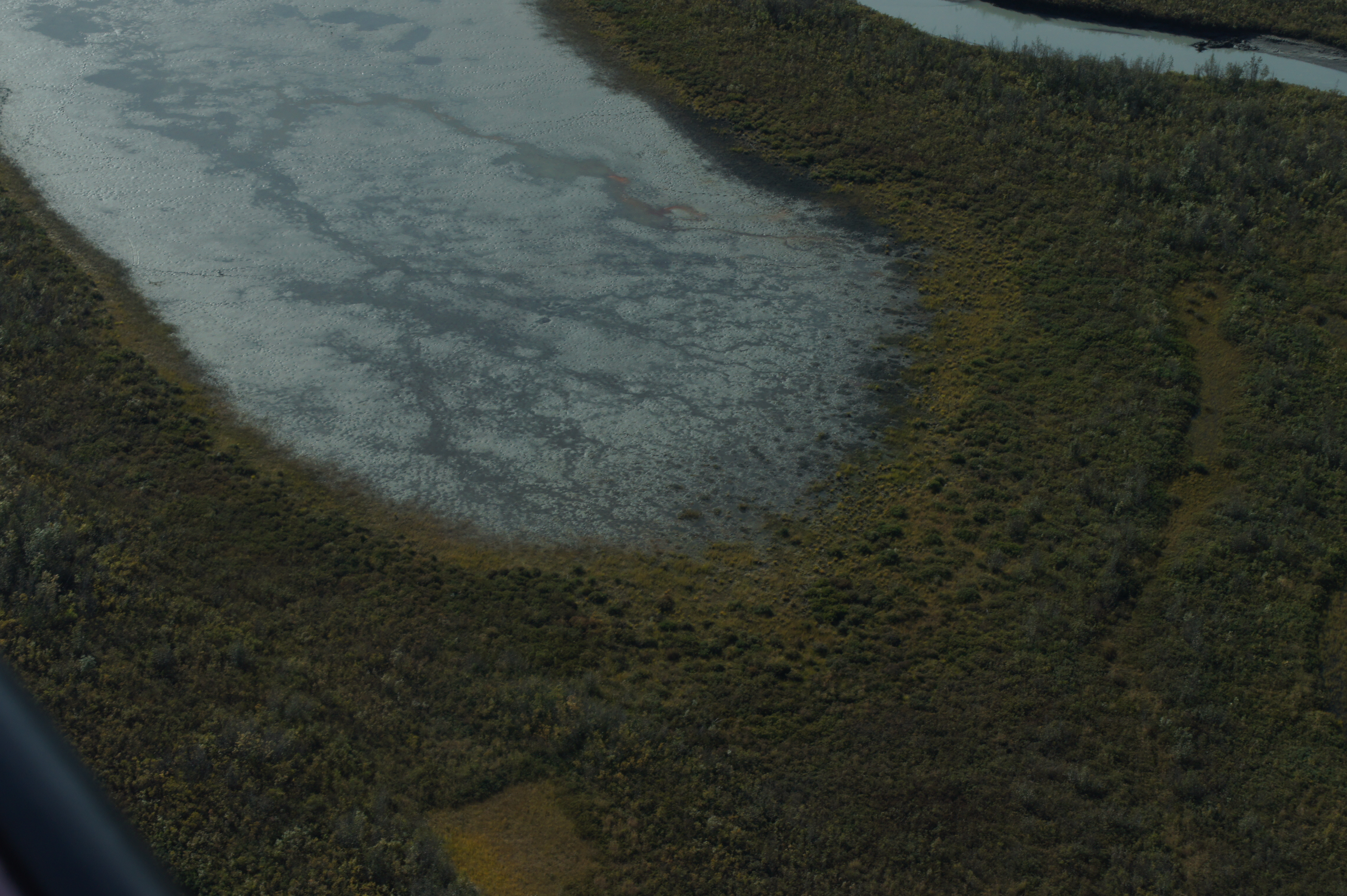 Click to return to the thumbnail index